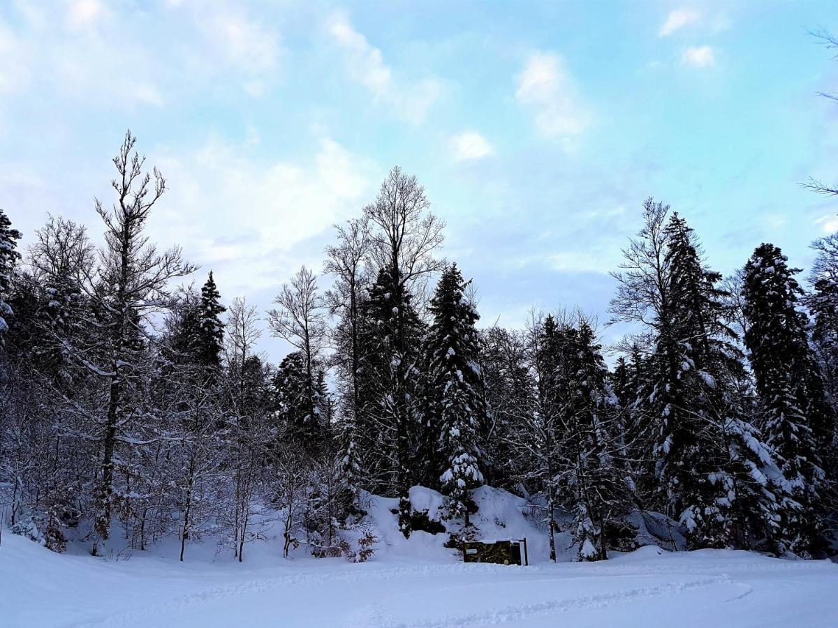 Auberge Refuge De Roybon Saint-Martin-en-Vercors Buitenkant foto