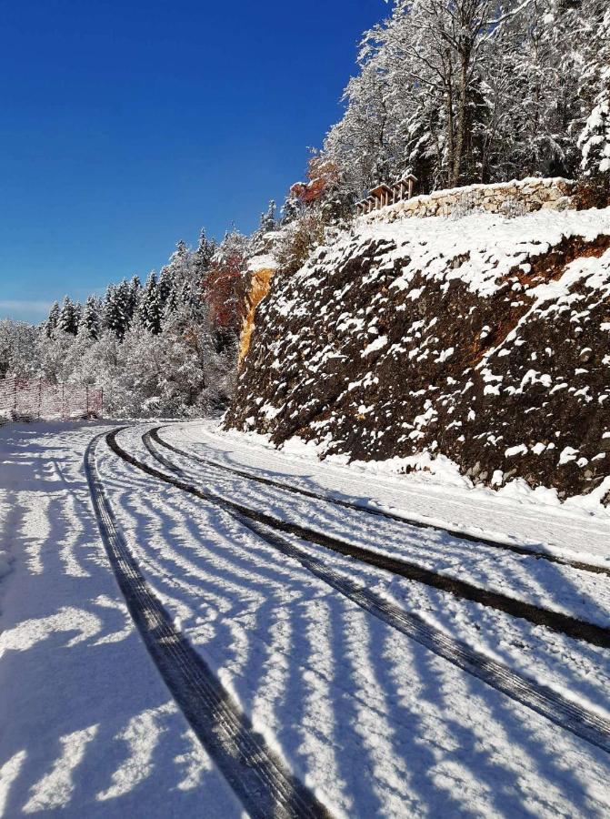 Auberge Refuge De Roybon Saint-Martin-en-Vercors Buitenkant foto