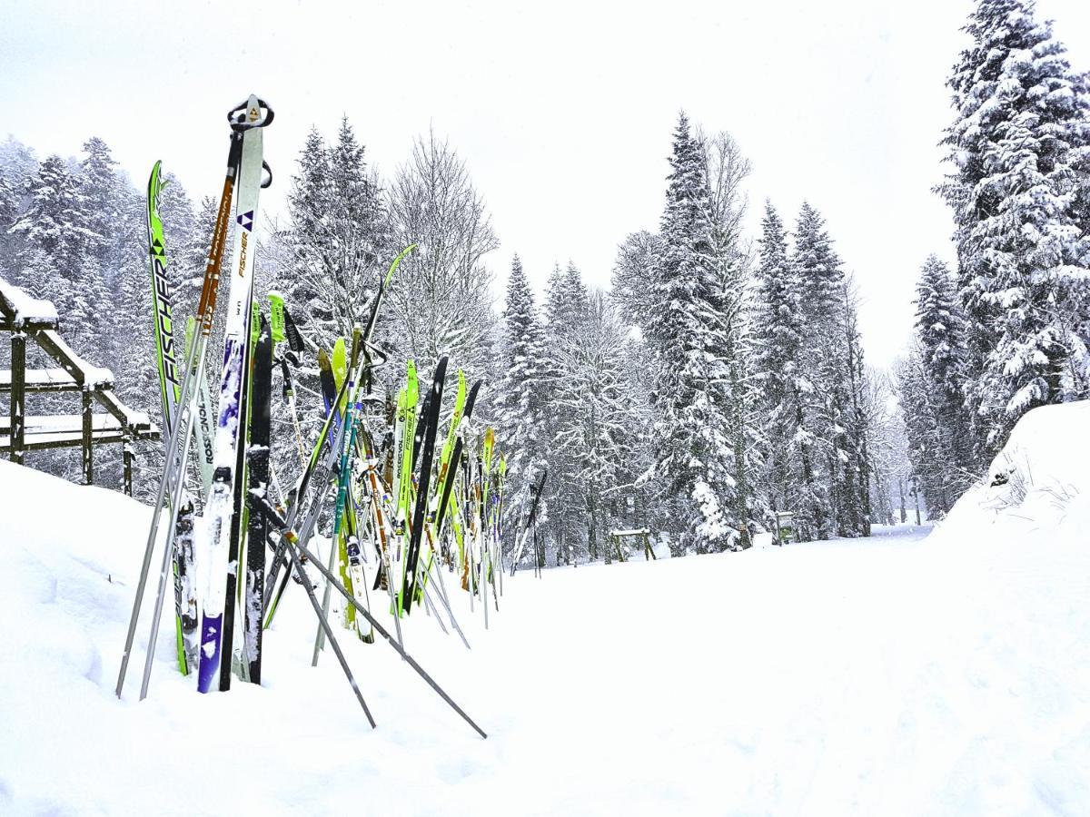 Auberge Refuge De Roybon Saint-Martin-en-Vercors Buitenkant foto